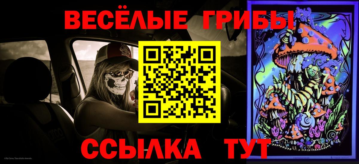 Псилоцибиновые грибы Cubensis  Вход с VPN  Рязань 