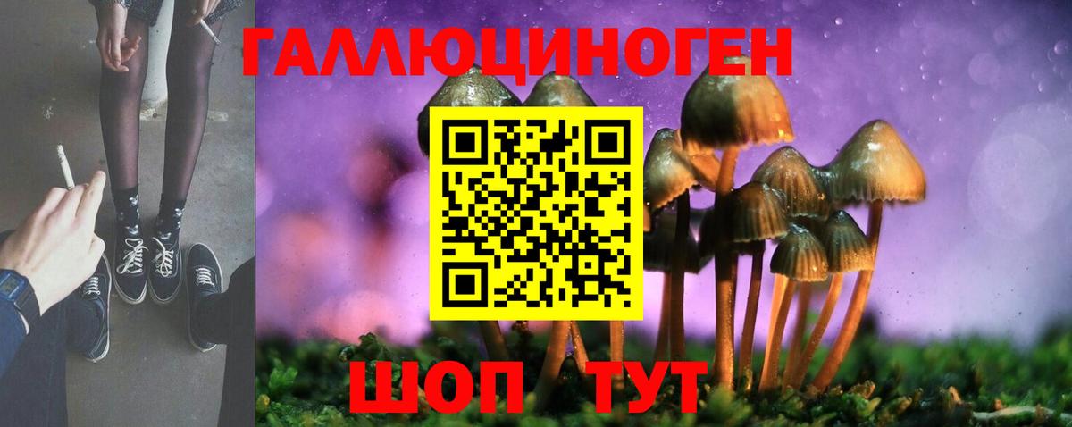 Псилоцибиновые грибы Psilocybine cubensis Рязань